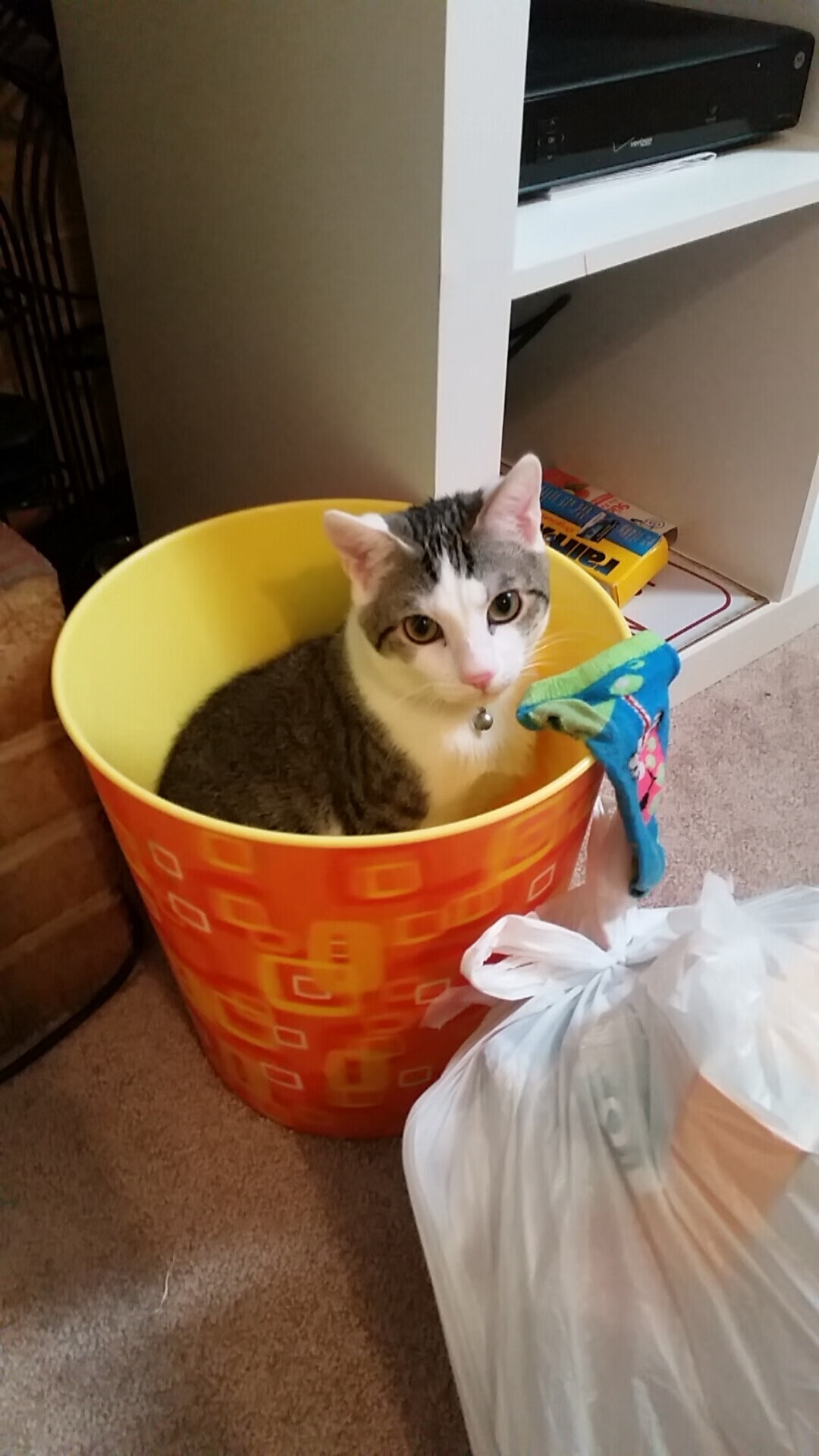 T1战队粉丝互动增强，t1战队怎么样