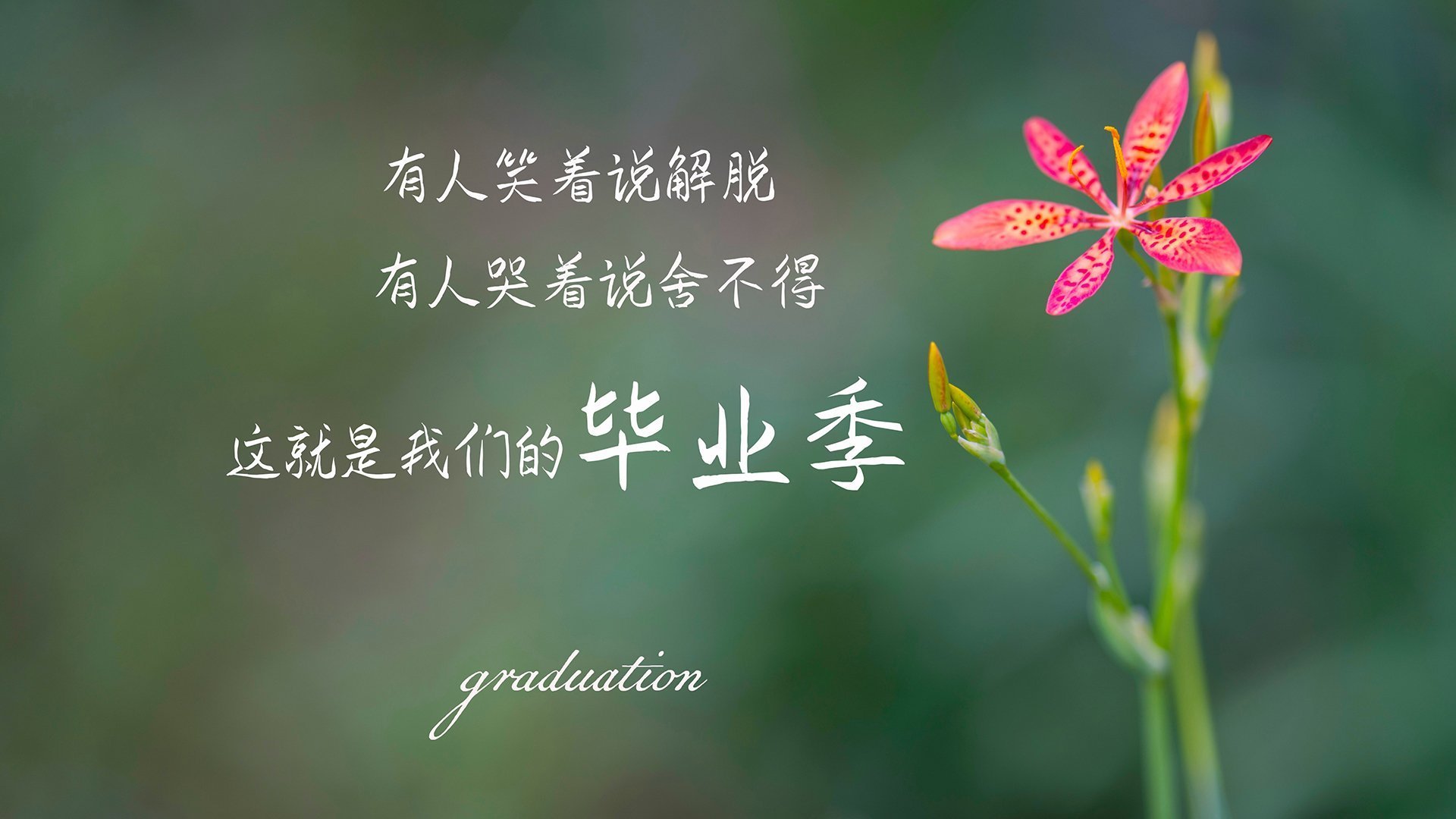 kaiyun登录入口-恩比德哑火七六人不敌对手