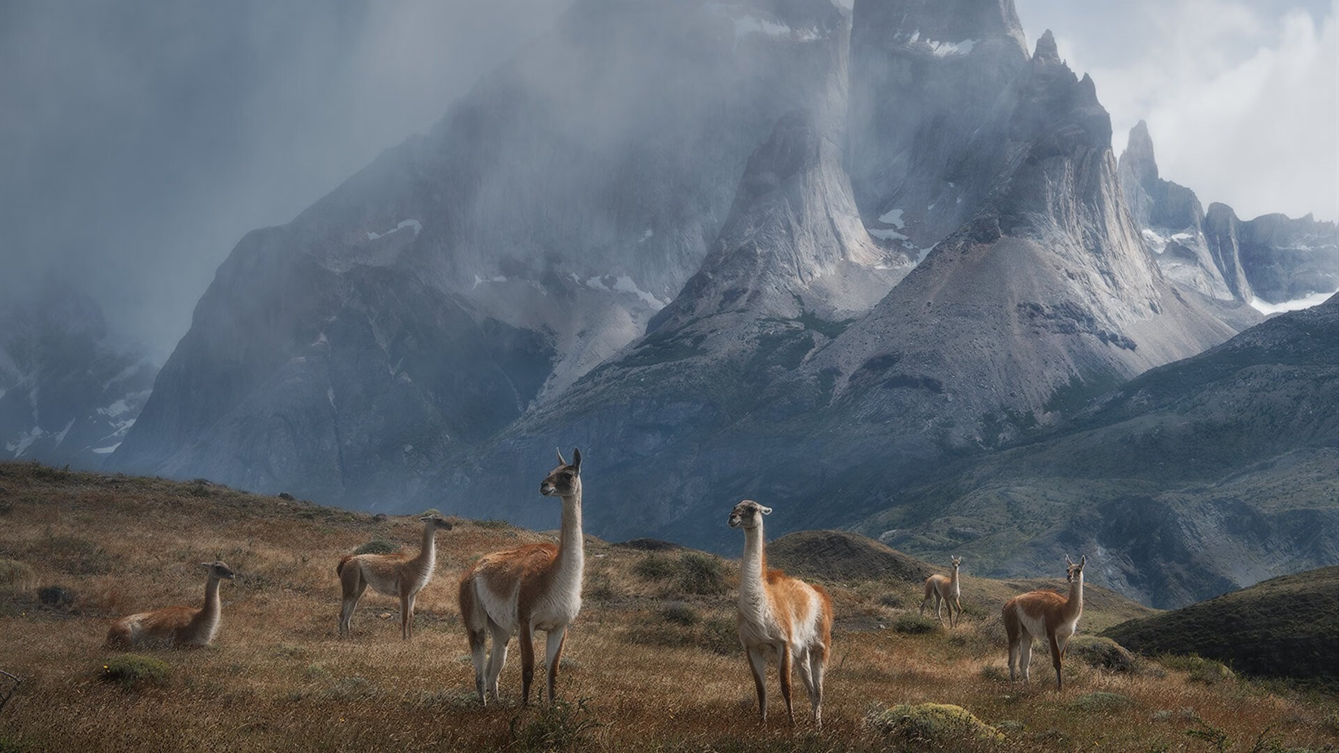 开云官网APP下载-朗斯能否延续上赛季的黑马姿态，朗斯怎么样