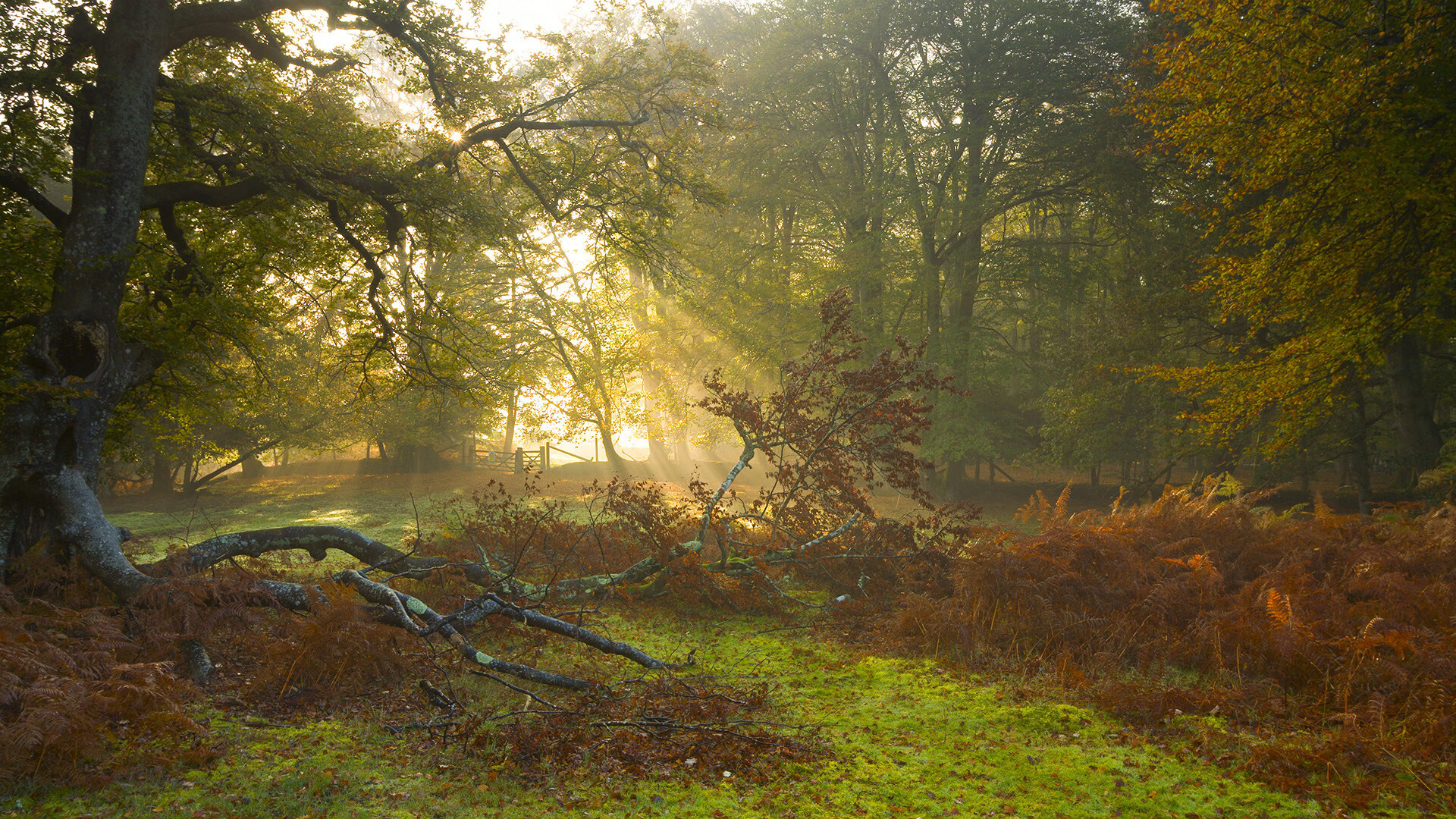 未知之战:双方实力对比尽显悬念,未知战士