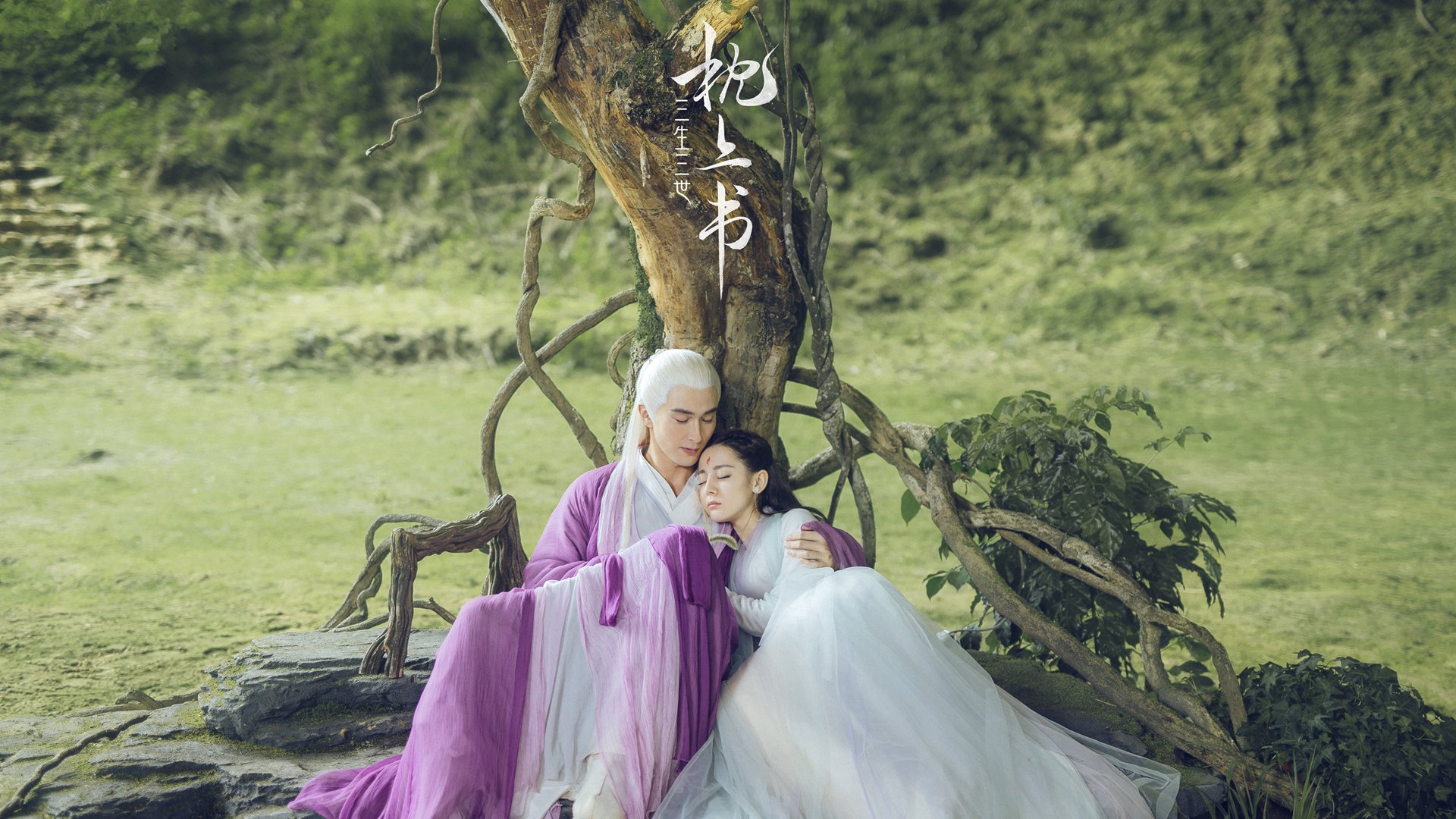 青岛男篮教练团队策略有效，2020青岛男篮队主教练