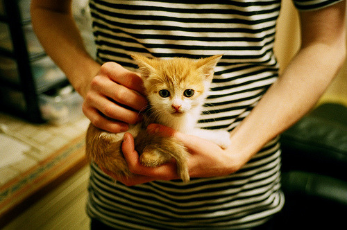 开云中国大陆-青岛男篮新赛季目标明确，青岛男篮赛程表2021赛季