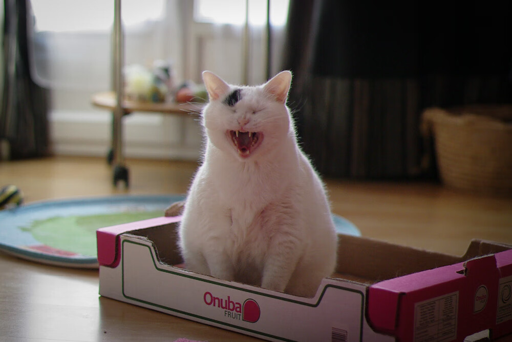 kaiyun登录入口-青岛男篮球员竞技状态持续稳定，青岛男篮人员名单