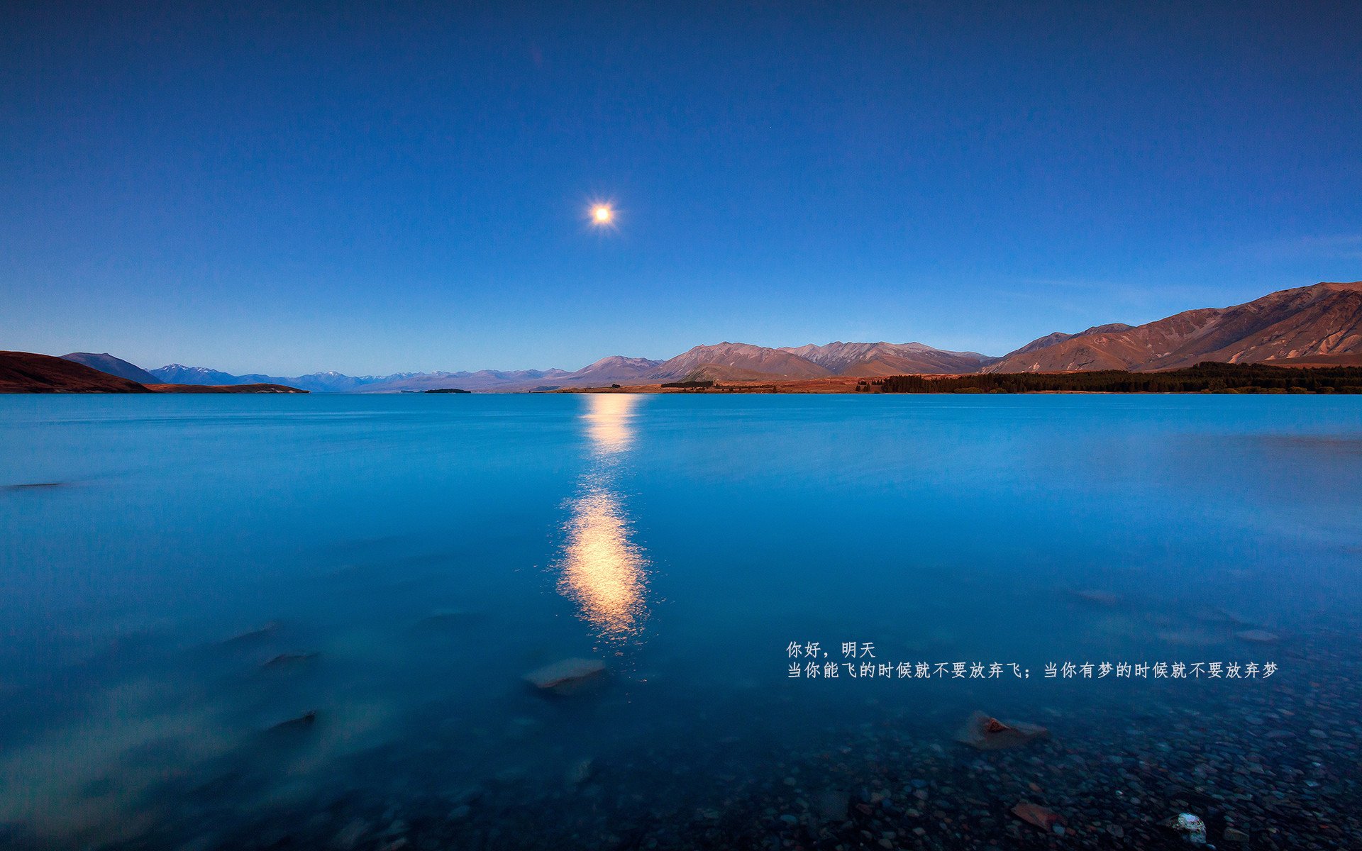 中国篮球教练员战术创新能力培养模式，中国篮球教练员战术创新能力培养模式有哪些