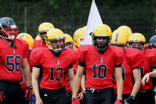 开云官方网站-中超球员年度射门类型结构分类，足球门将射门