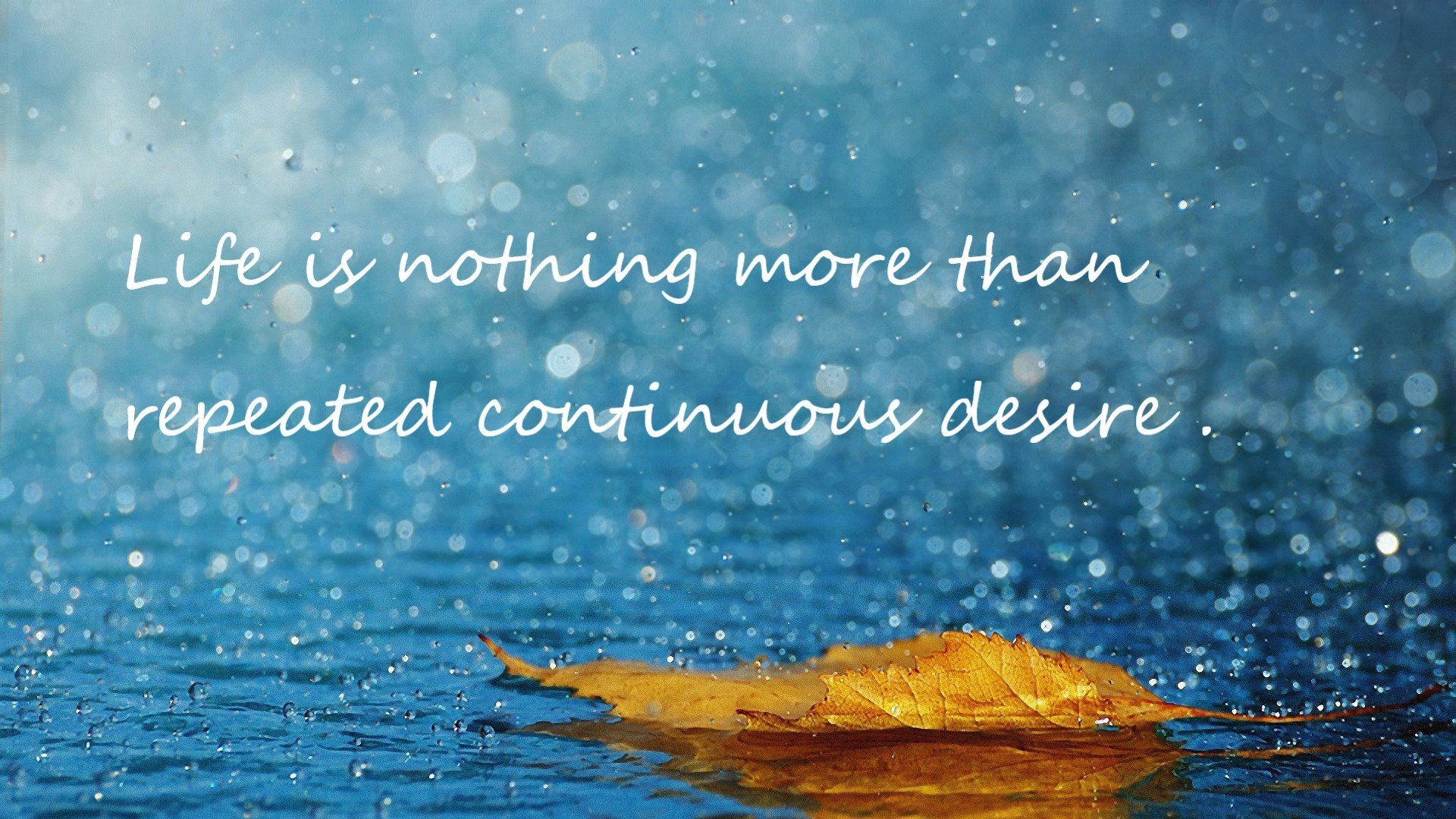 中超球员年度射门类型结构分类,足球门将射门