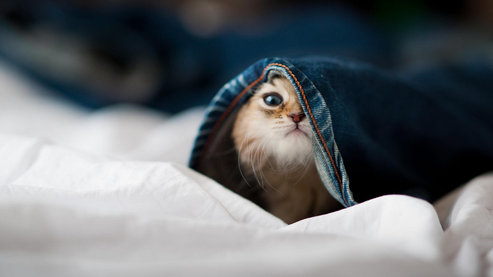 中国女篮提升转换进攻处理能力,中国女篮进步