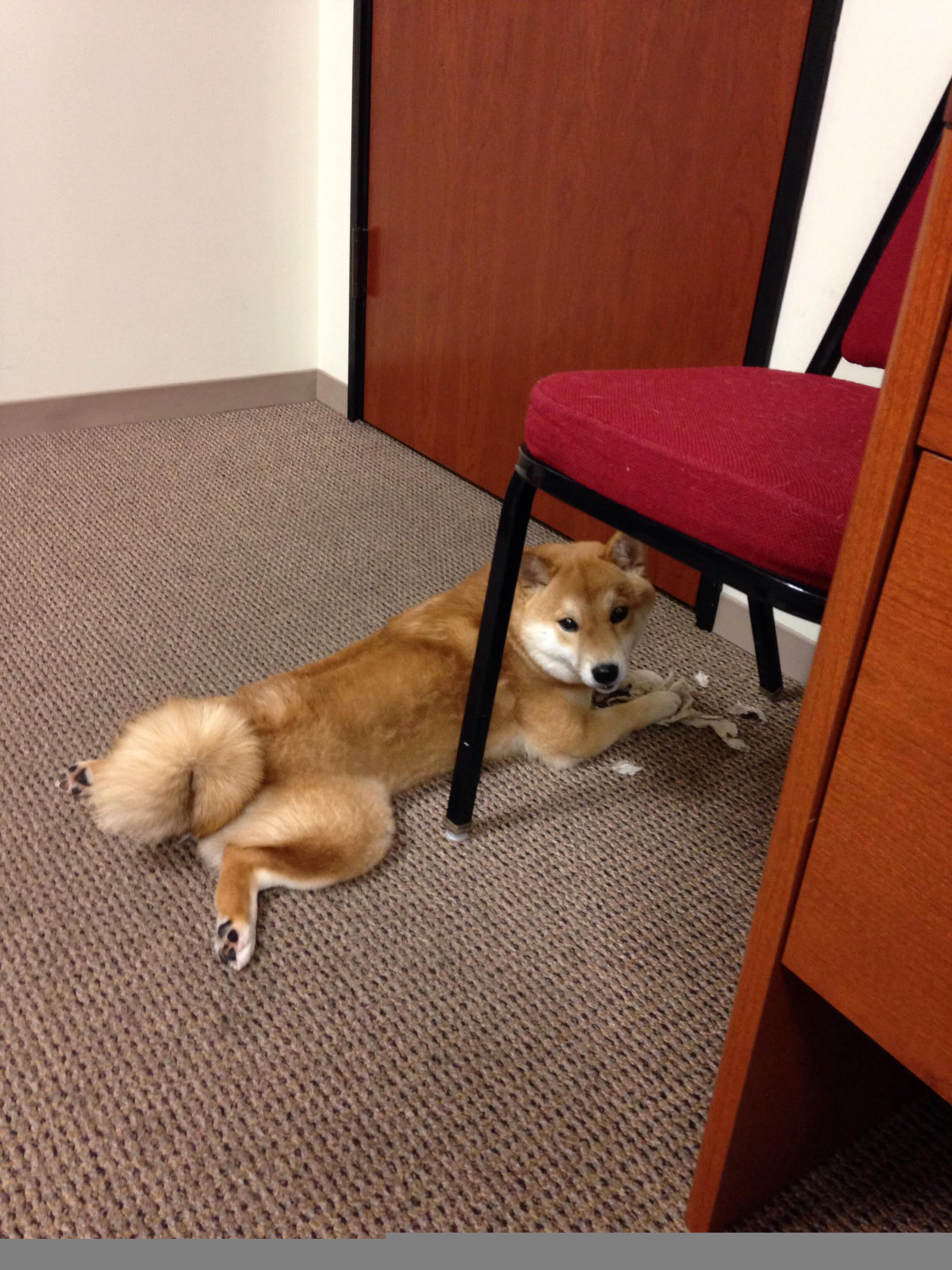 KAIYUN 中国大陆-五大联赛豪门冷门失利频率是否呈上升趋势，5大联赛豪门球队