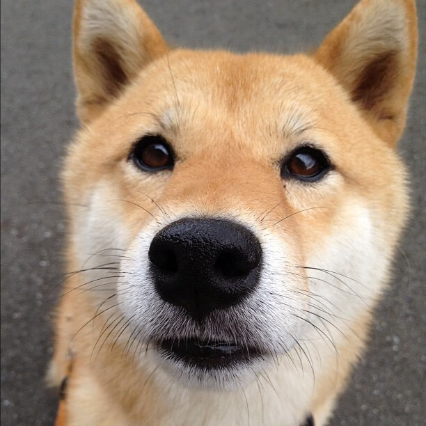 开云入口-国家队整体战斗力提升难点，国家队战斗姿势