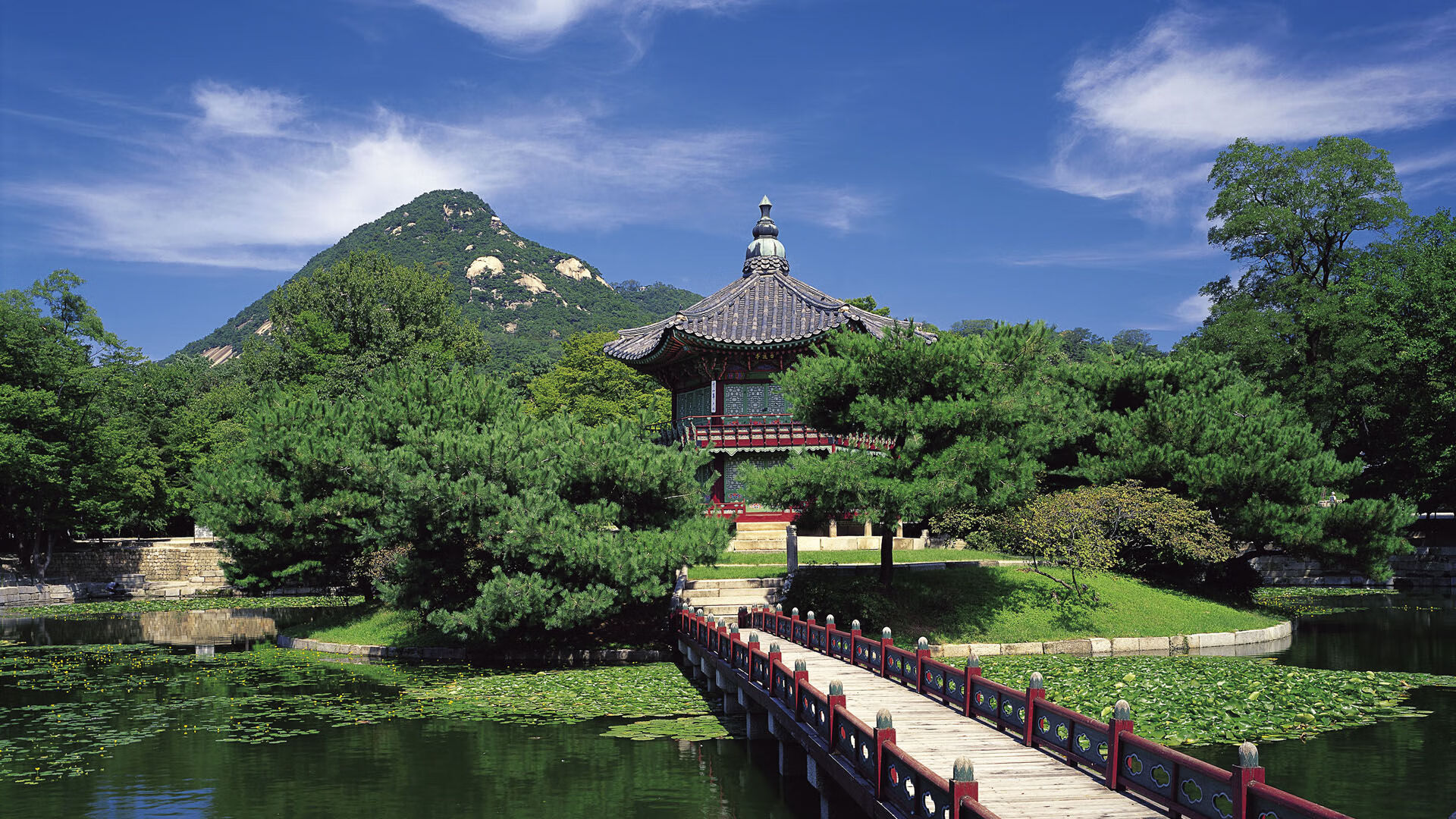 开云官网-比赛转播权市场竞争加剧，赛事转播权的概念