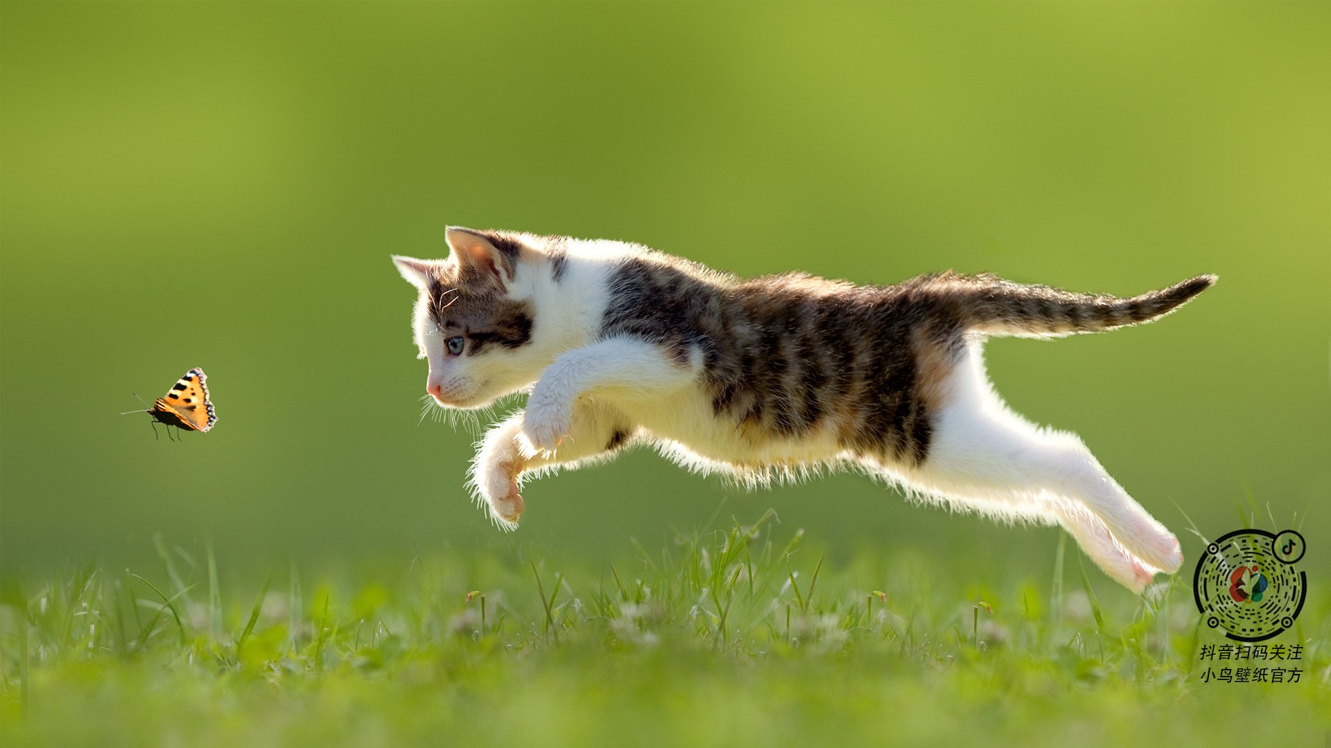 职业联赛缺乏防止人才流失的反哺体系