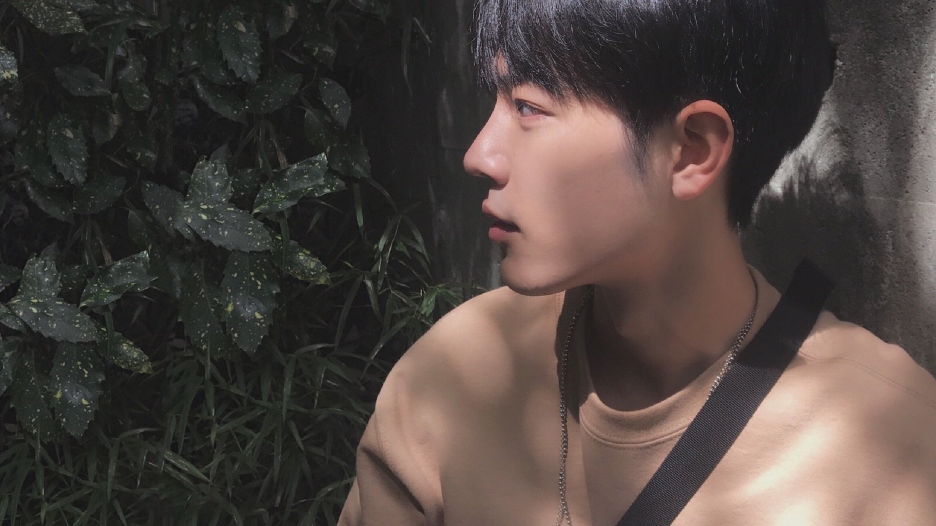 水球比赛韩国女队配合默契,水球比赛韩国女队配合默契球员