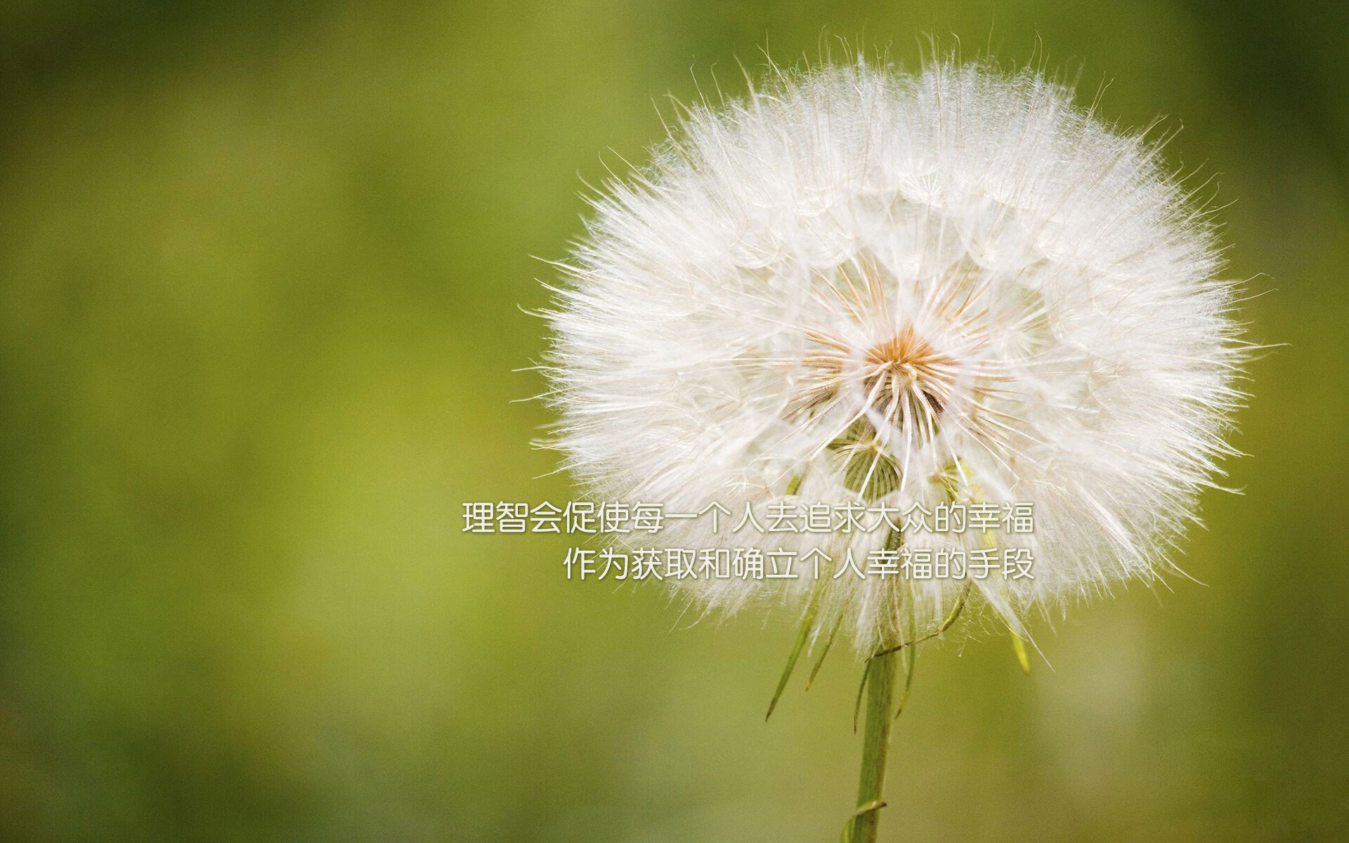 Kaiyun APP-约翰·恩多耶-布鲁阿尔200米仰泳决赛展现强劲实力