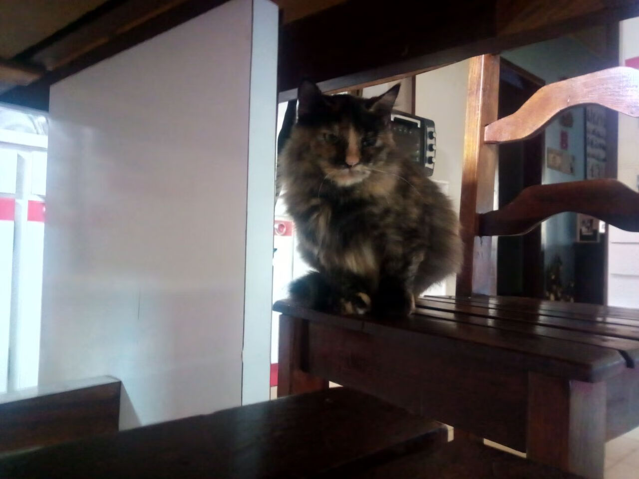 西甲精彩盘点：极致技巧与智慧的碰撞，西甲技术