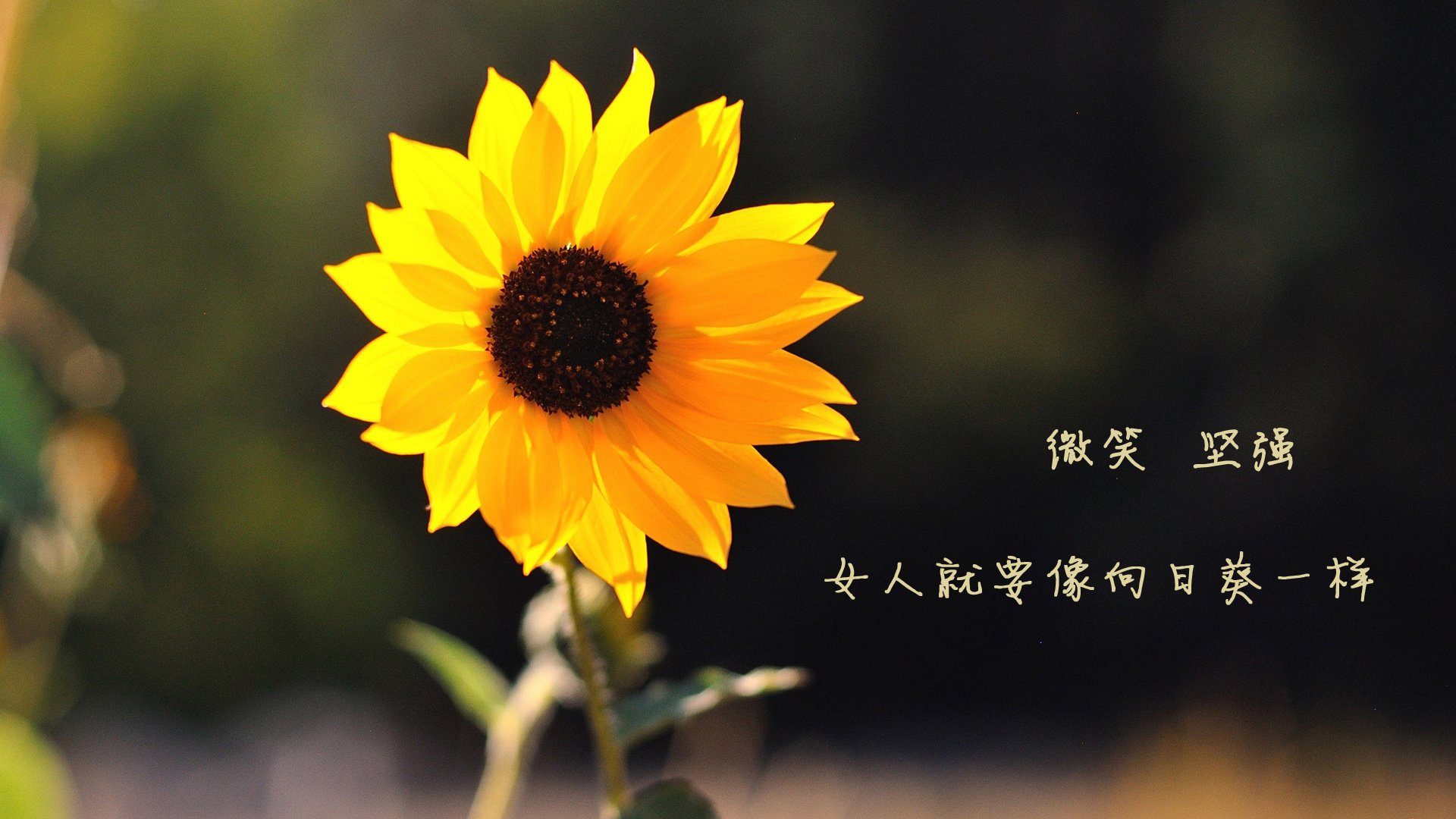 跨国足球交流活动频繁，促进国际合作，跨国足球交流活动频繁,促进国际合作发展